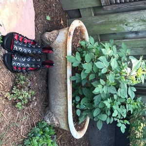 Fun black Charles Jourdan Paris gladiator sandal